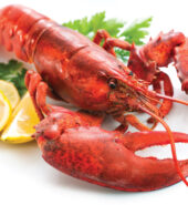 Aristcart Whole Lobster [per kg]