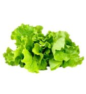 Local Lettuce 