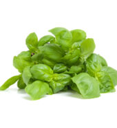 Herb Fresh Basil