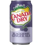 Canada Dry Blackberry Ginger Ale Can